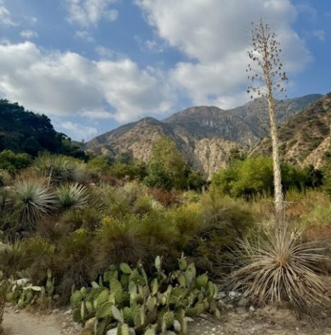 Eaton Canyon.