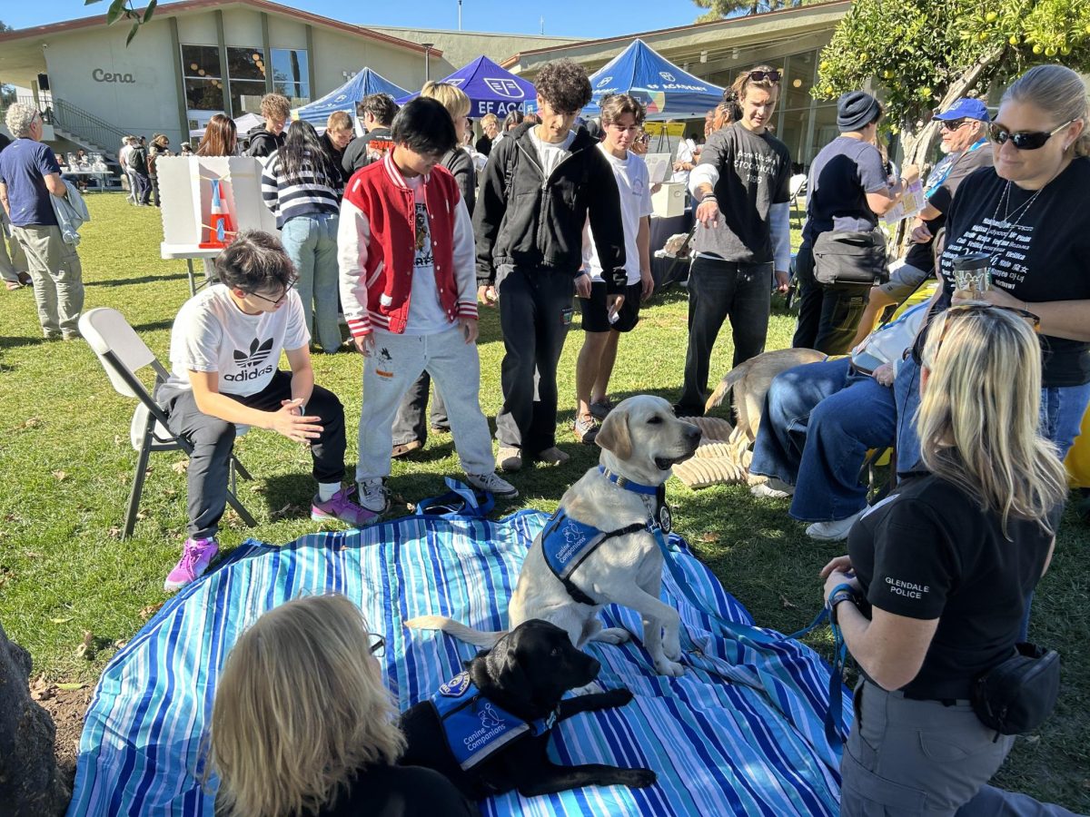 Students gather to pet the therapy dogs from Canine Companions. According to students, this was among the favorite activities at the Wellness Fair.