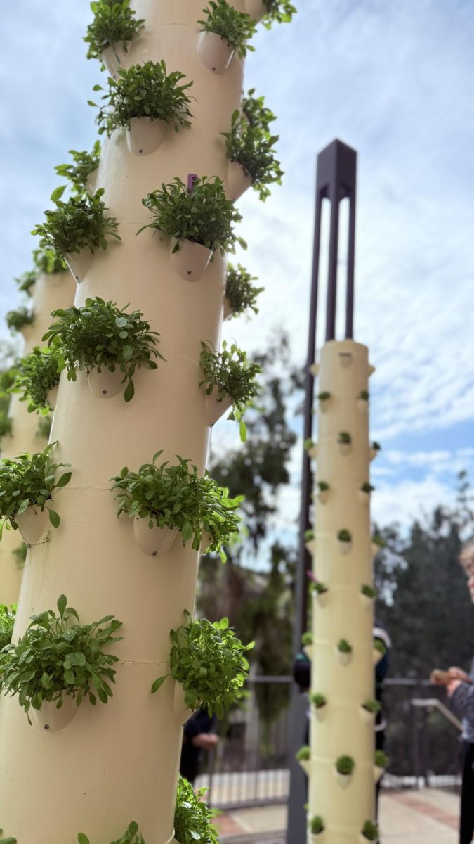 Tower Garden at UCLA