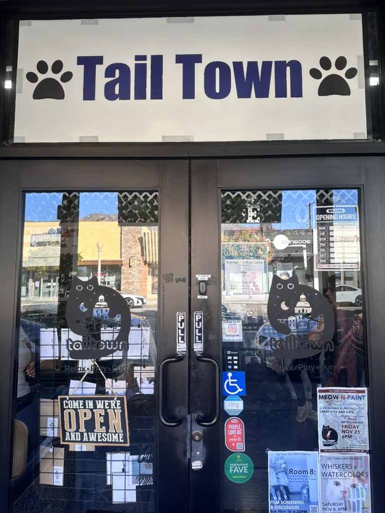 Not Just a Shelter: Tall Town Cats Brings People and Cats Together