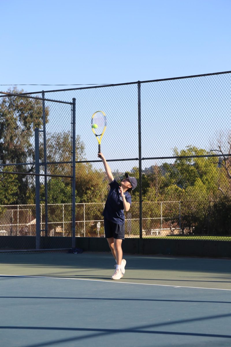 Joyce Wu's Journey in Tennis